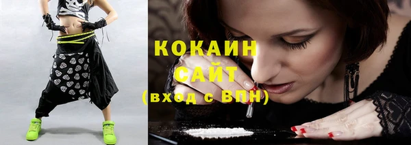 гидра Наволоки