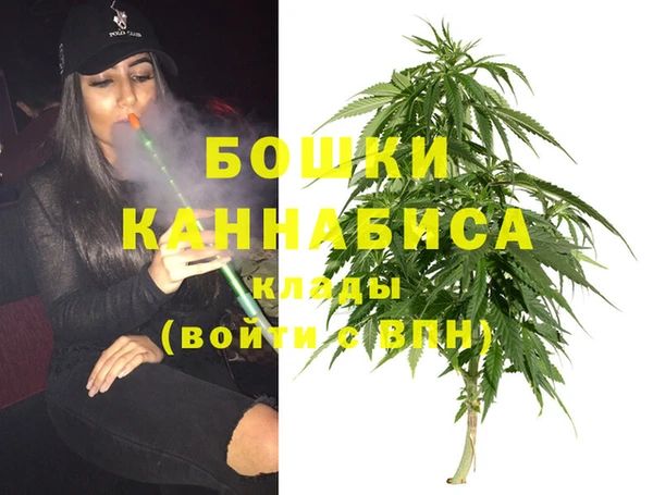 эйфоретик Михайлов