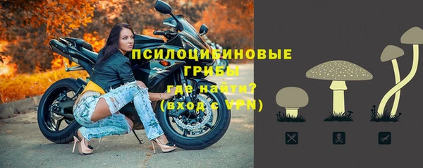 эйфоретик Михайлов