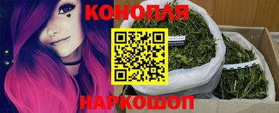 прущие грибы Бузулук