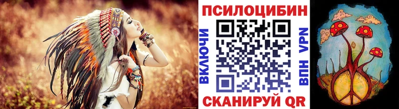 площадка какой сайт  купить наркотики сайты  ОМГ ОМГ зеркало  Лосино-Петровский  Псилоцибиновые грибы Psilocybe 