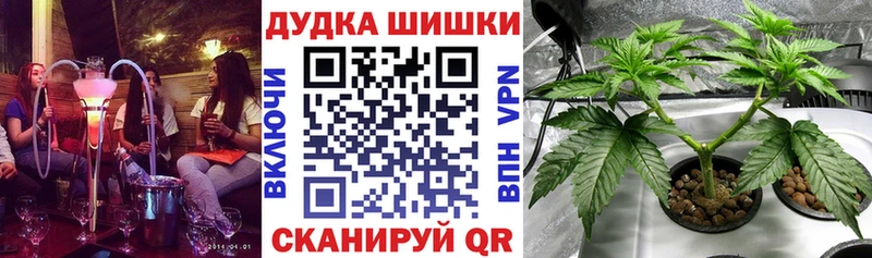 МАРИХУАНА индика Лосино-Петровский