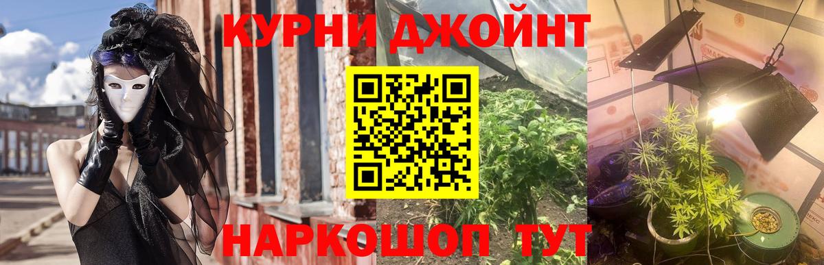 Канабис план Лосино-Петровский